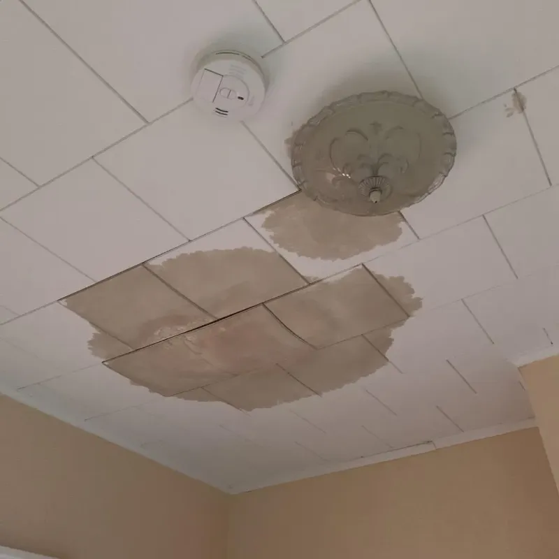 Ceiling Water Damage Repair in Wilbarger County, TX