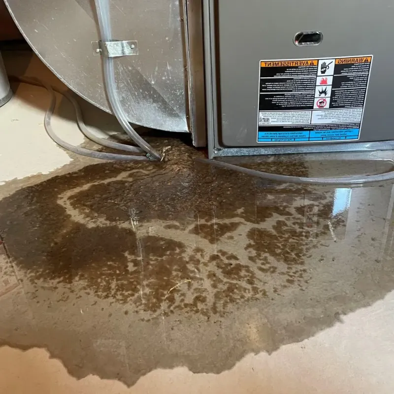 Pipe Burst and Leak Restoration in Wilbarger County, TX