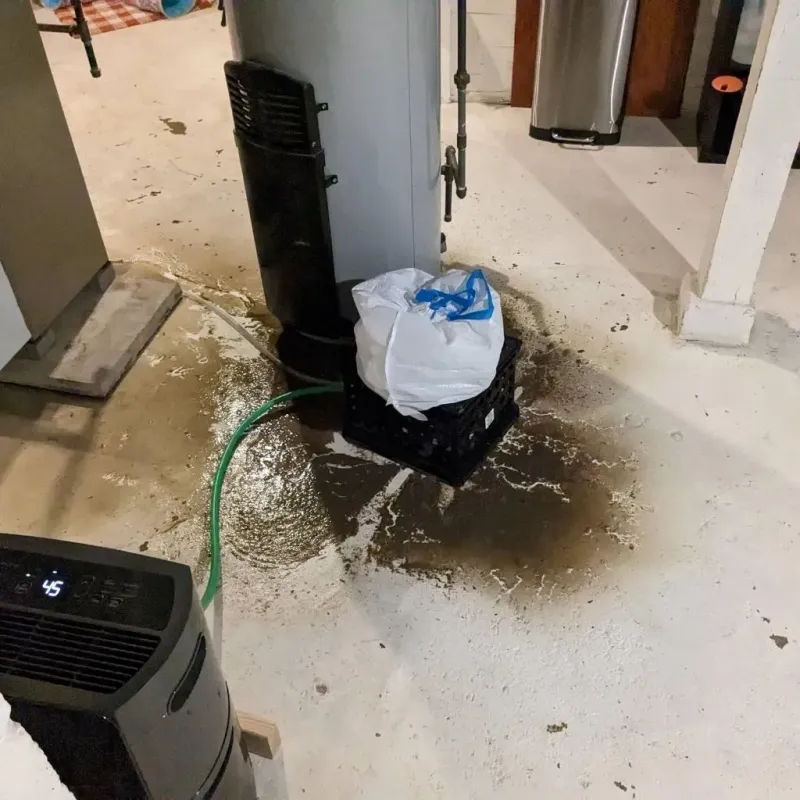Sewage Backup Cleanup Service in Wilbarger County, TX